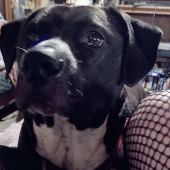 Meet your Posher, Michelle - Picture 8 of 8